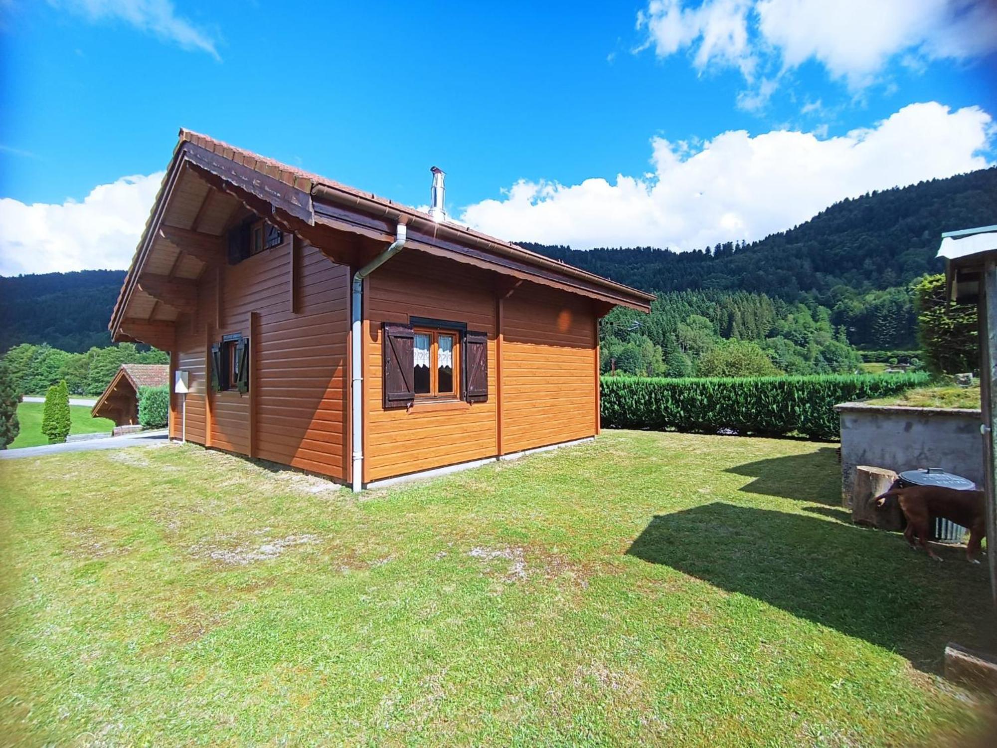 Le "Chalet De Minette" 2 Etoiles La Bresse Exterior photo